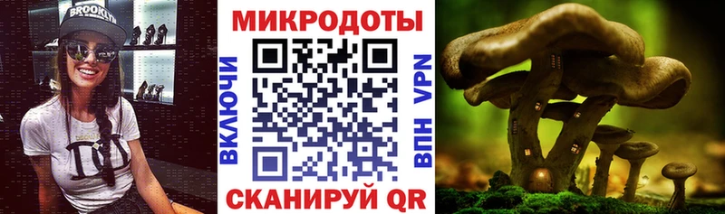 Псилоцибиновые грибы ЛСД  купить наркоту  площадка клад  Богородск 