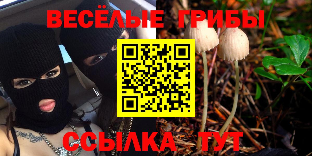 Псилоцибиновые грибы мицелий Богородск