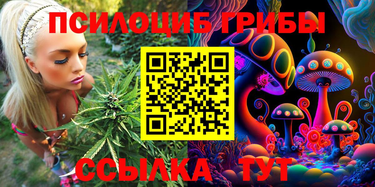 Псилоцибиновые грибы GOLDEN TEACHER  Богородск 
